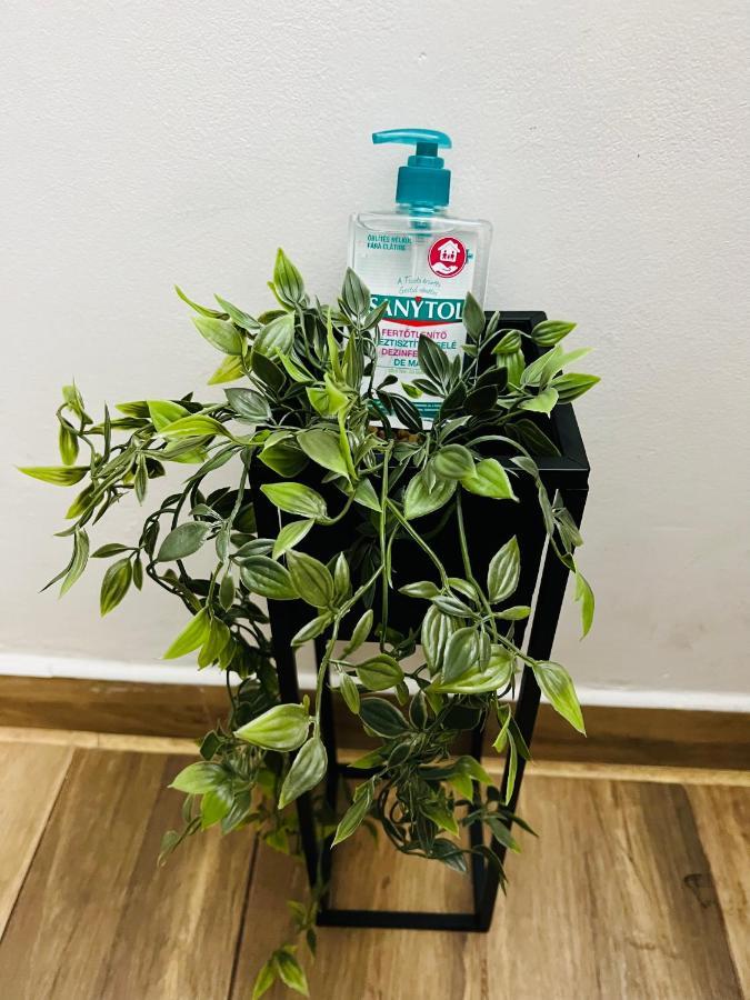 Altheda Living Tineretului E8 Appartement Suceava Buitenkant foto