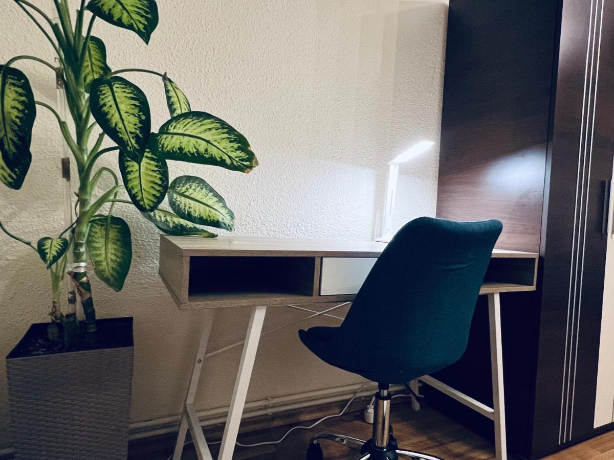 Altheda Living Tineretului E8 Appartement Suceava Buitenkant foto
